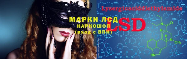 спайс Аркадак