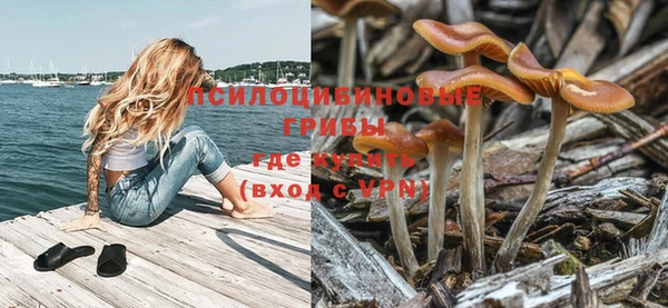 спайс Аркадак