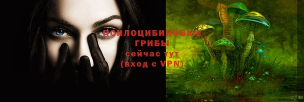 спайс Аркадак