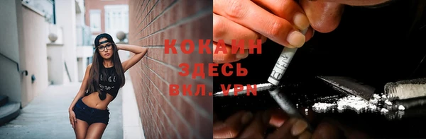 спайс Аркадак